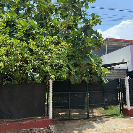 The Lazy Palm Shack Hotel โคอิมบาทอร์ ภายนอก รูปภาพ